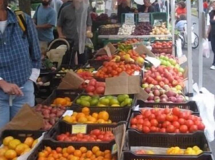 פנסיון Klippers Guest Suites