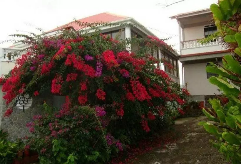 پانسیون Symes Zee Villa