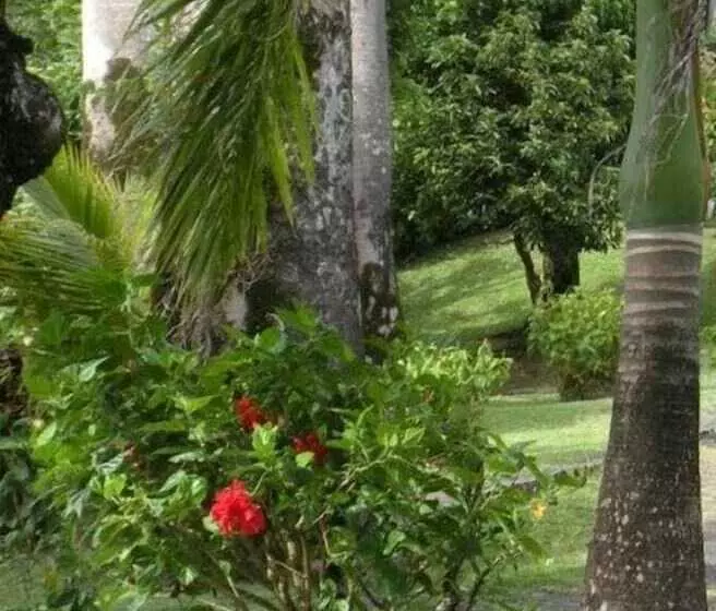 پانسیون Symes Zee Villa