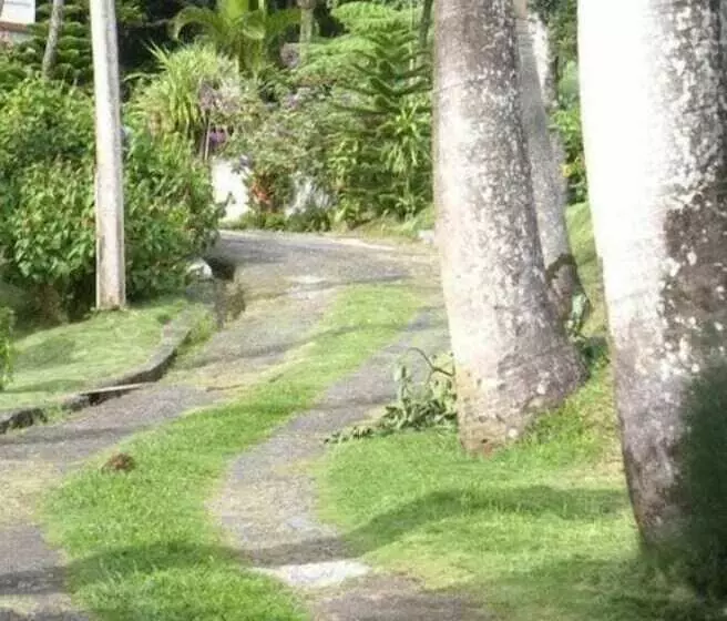 پانسیون Symes Zee Villa