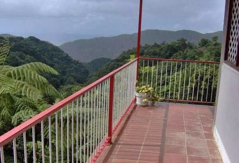 پانسیون Symes Zee Villa