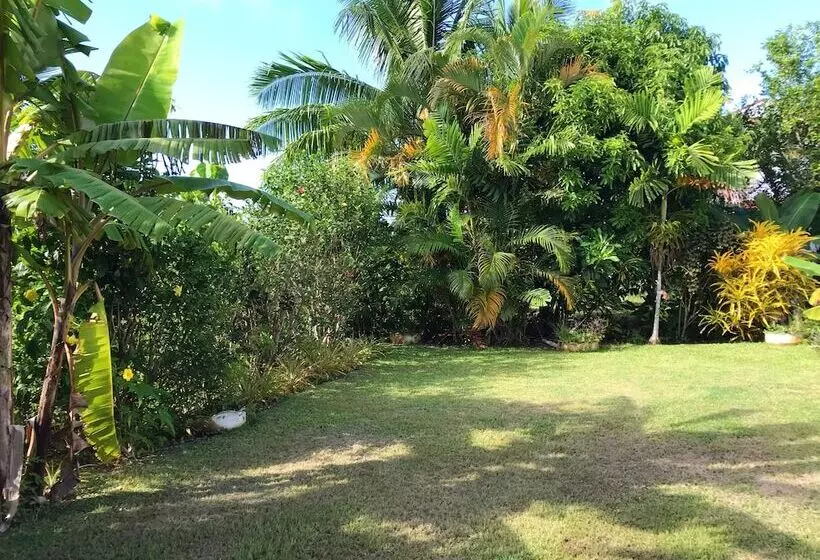 پانسیون The Tropical Villa