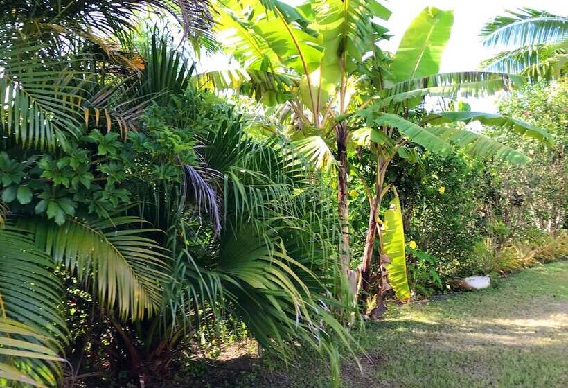 بنسيون The Tropical Villa