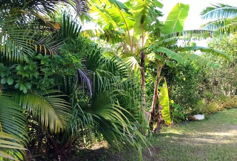 پانسیون The Tropical Villa