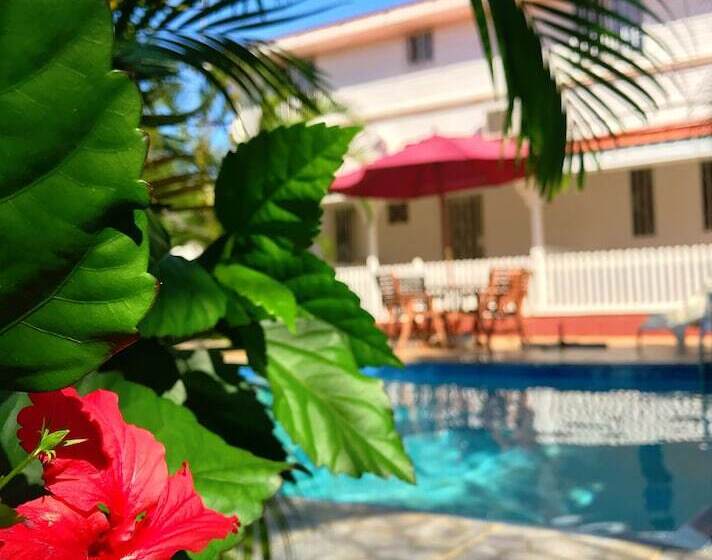 بنسيون The Tropical Villa