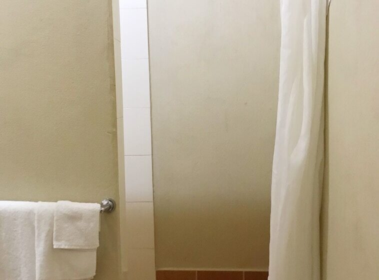 بنسيون The Tropical Villa