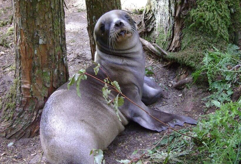 منتجع Catlins Newhaven Holiday Park