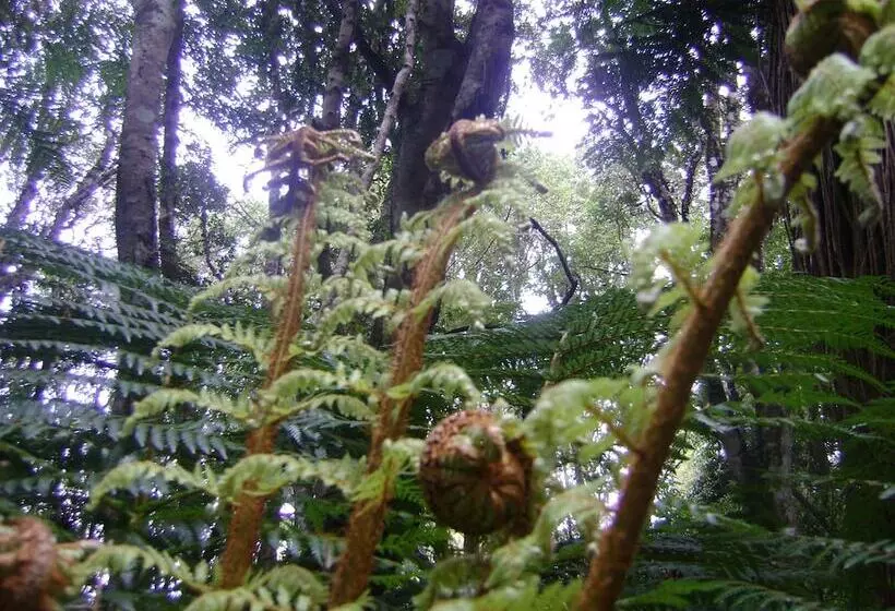 Lomakeskus Catlins Newhaven Holiday Park