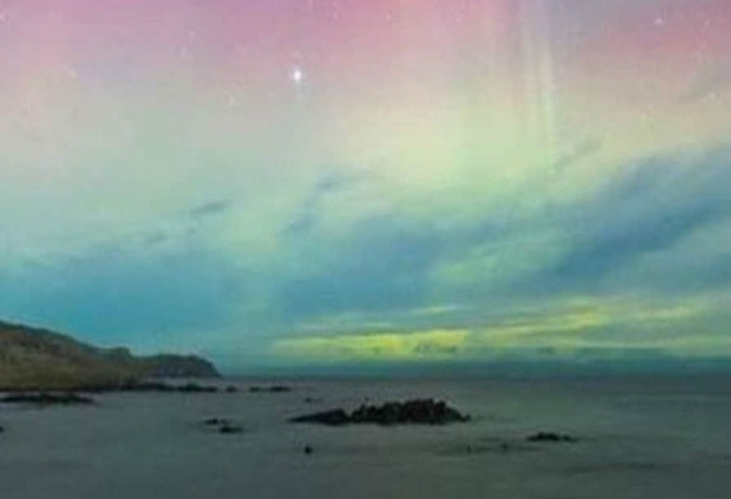 منتجع Catlins Newhaven Holiday Park