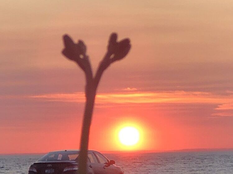 Southold Beach Motel