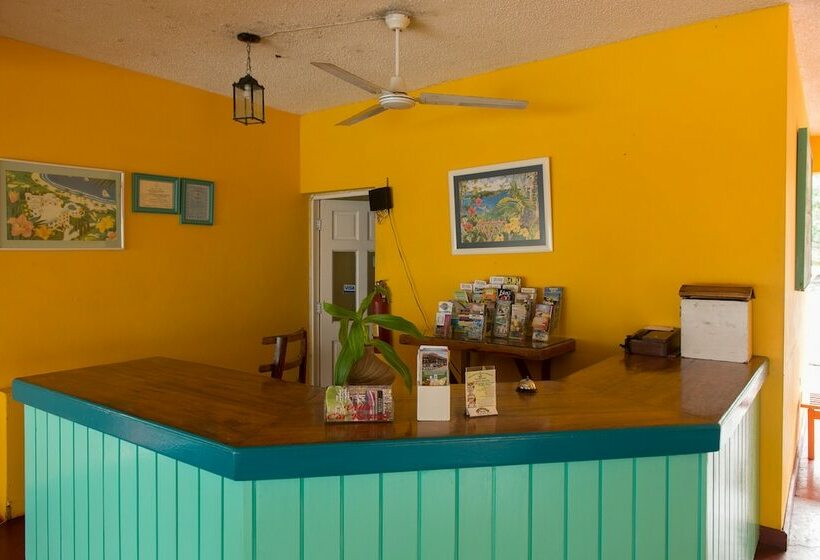 Tropical Beach Suite