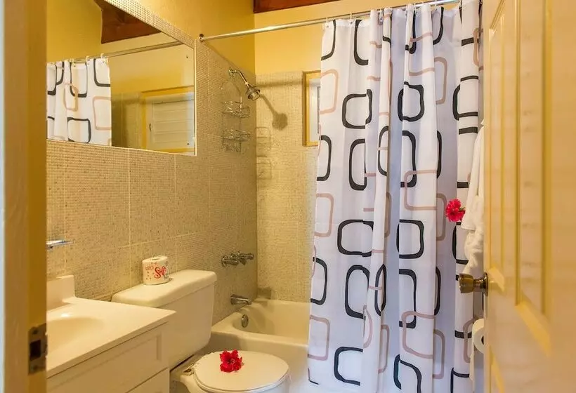 Tropical Beach Suite