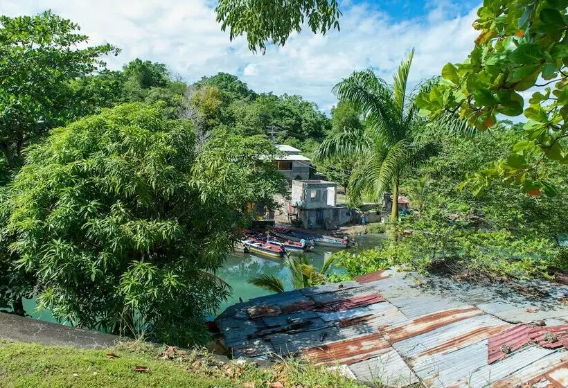 Tropical Beach Suite