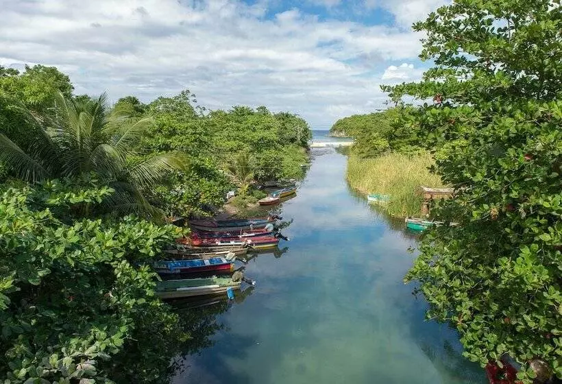 Tropical Beach Suite