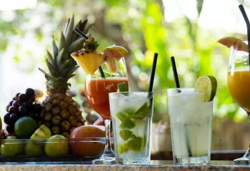 Vila Alema Boutique Hotel E Apartamentos