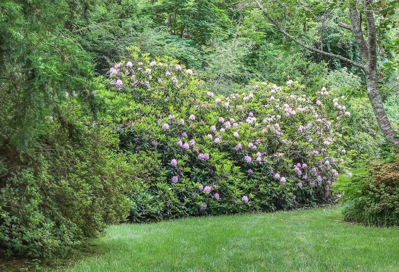 3 Waves Bed & Breakfast