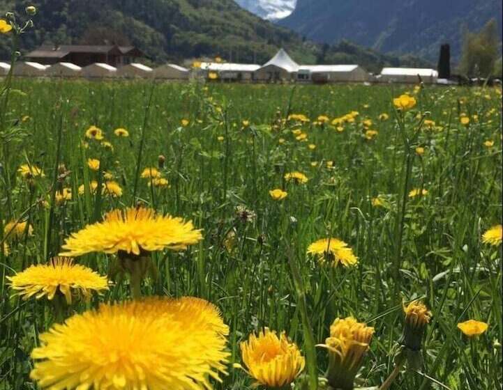 Balmers Tent Village   Hostel