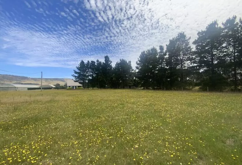 Aamiaismajoitus (B&B) Alexanders Of Richmond