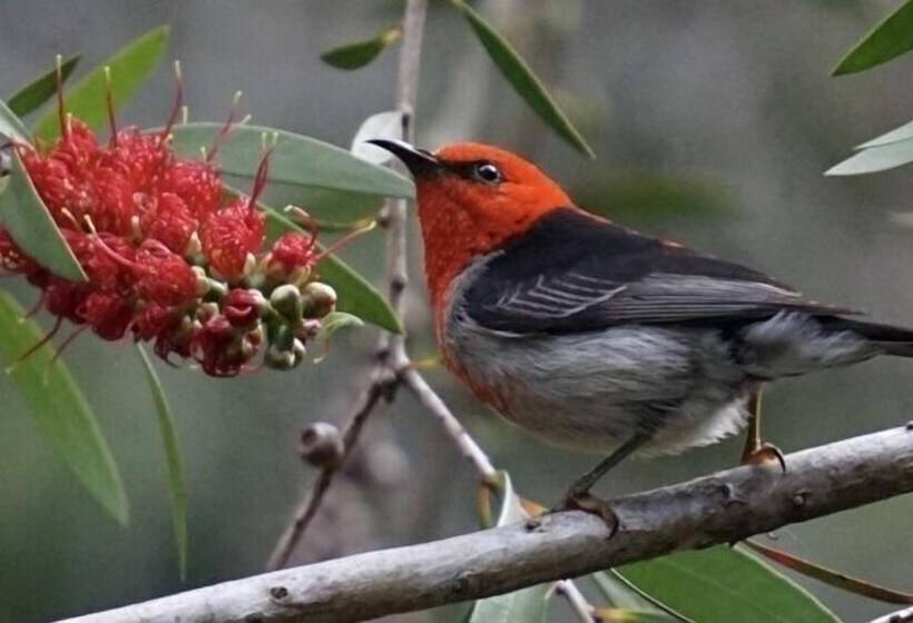 Broken River Mountain Resort