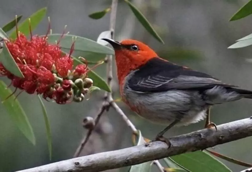 Broken River Mountain Resort