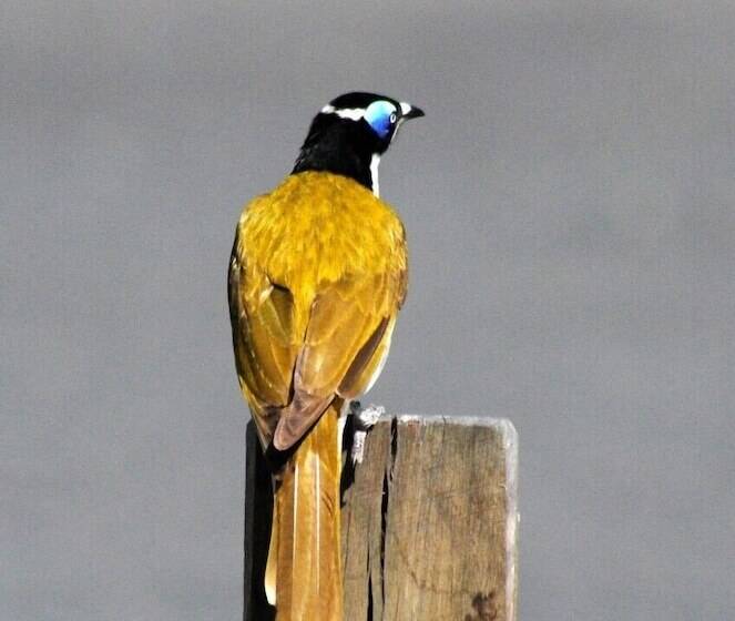 Broken River Mountain Resort