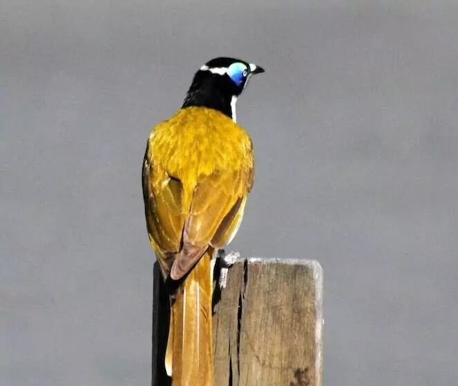 Broken River Mountain Resort