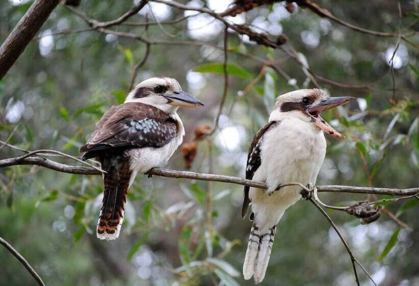 Broken River Mountain Resort