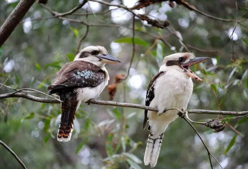 Broken River Mountain Resort