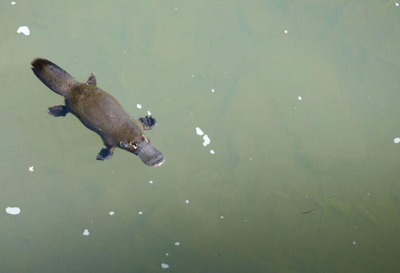 Broken River Mountain Resort