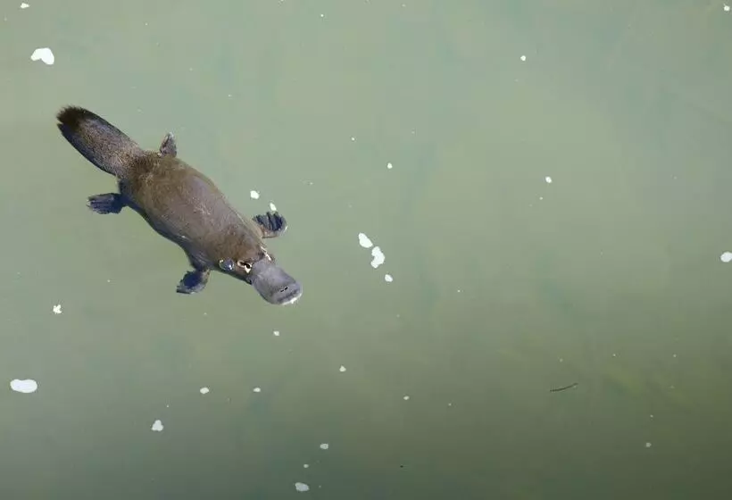 Broken River Mountain Resort