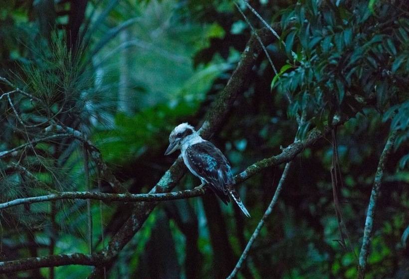 Broken River Mountain Resort