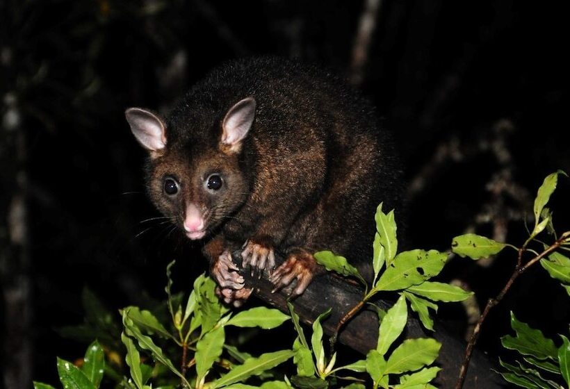 Broken River Mountain Resort