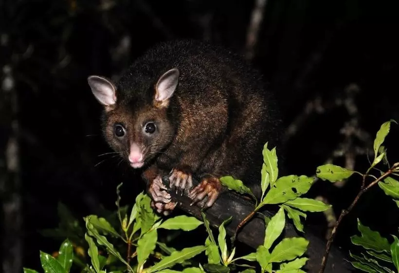 Broken River Mountain Resort