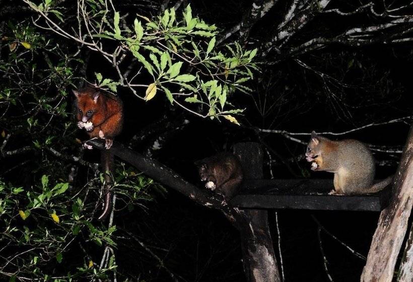 Broken River Mountain Resort