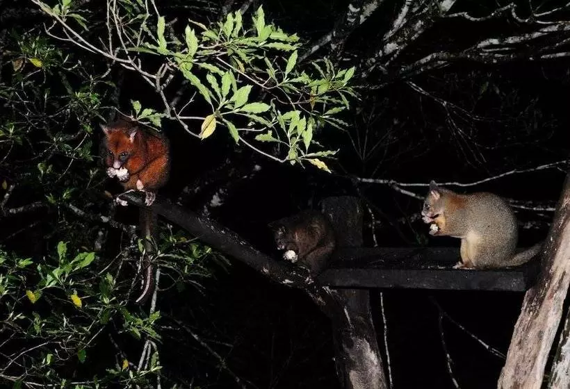 Broken River Mountain Resort