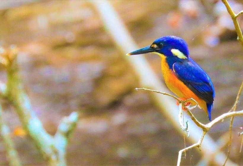 Broken River Mountain Resort