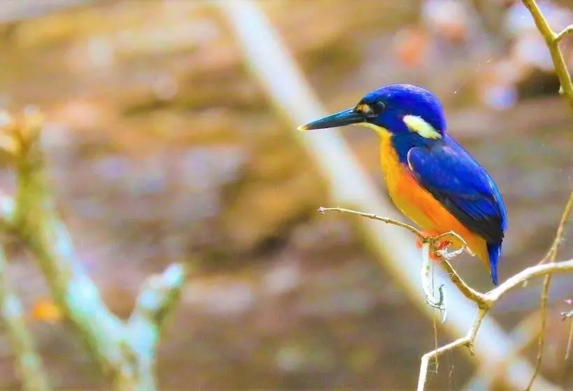 Broken River Mountain Resort