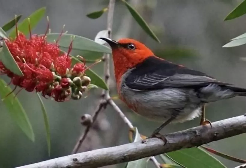 Broken River Mountain Resort