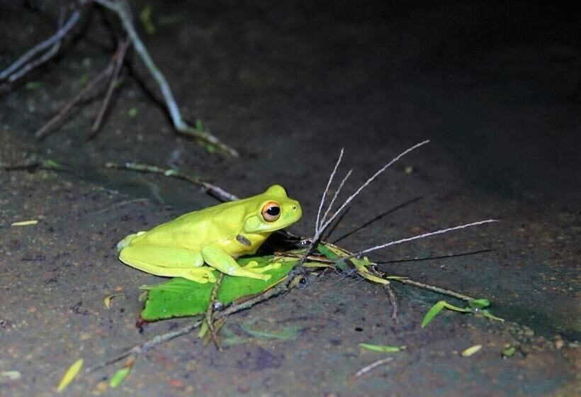 Broken River Mountain Resort