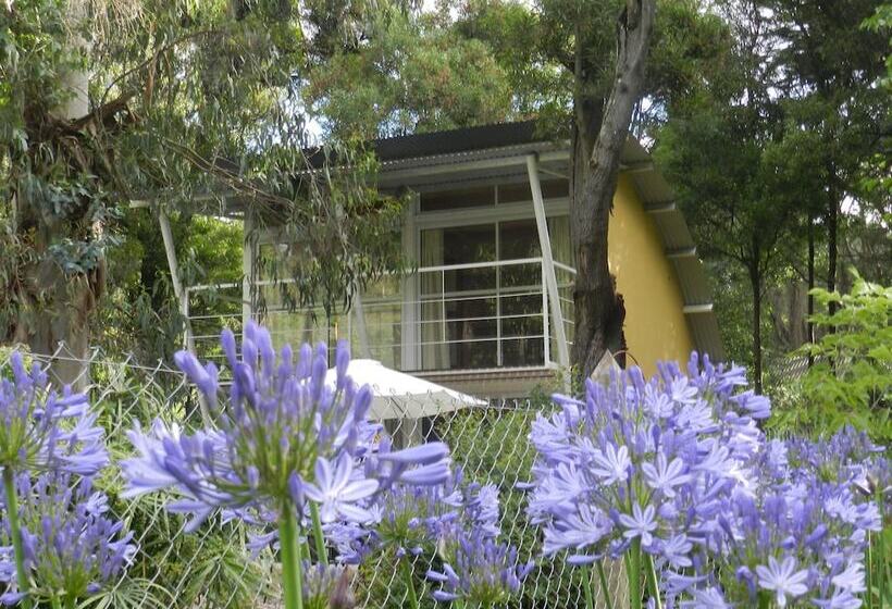 בית מלון כפרי Cabañas Sol De Abril