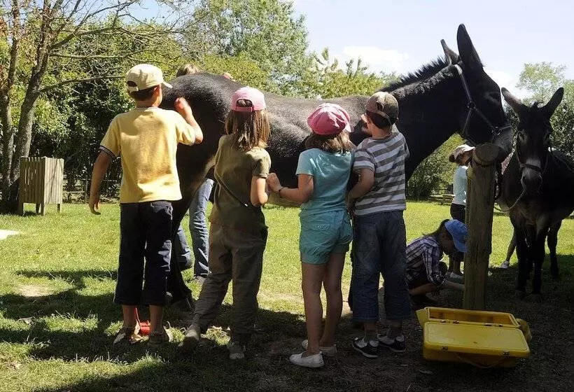 Hotelli Le Village De Cottages   Le Pôle Du Cheval Et De L âne