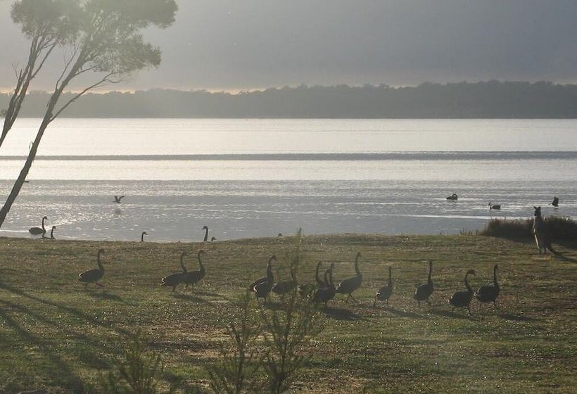 Отель Waterfront Retreat At Wattle Point