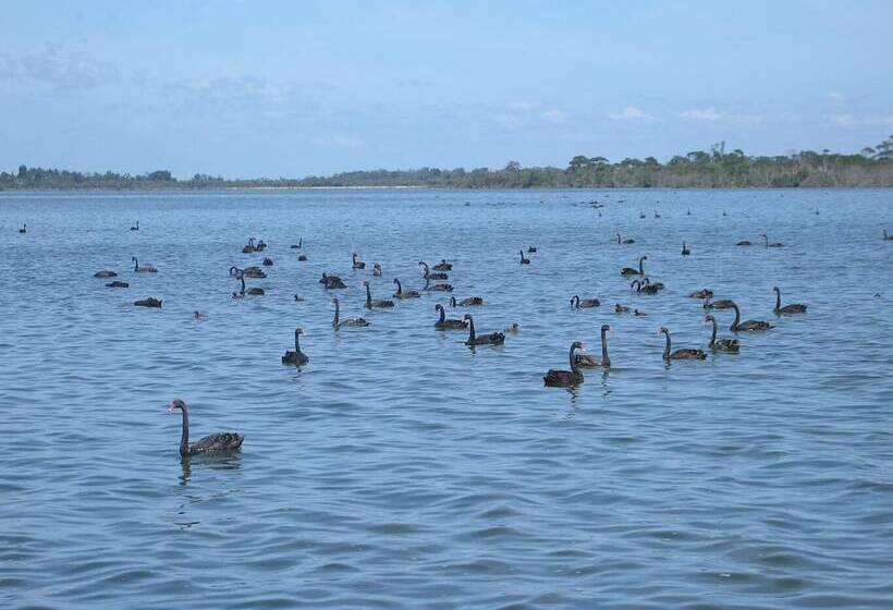 Отель Waterfront Retreat At Wattle Point