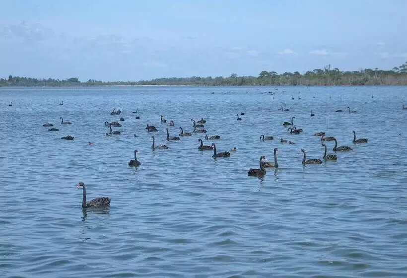 Hotelli Waterfront Retreat At Wattle Point