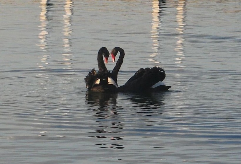 Отель Waterfront Retreat At Wattle Point