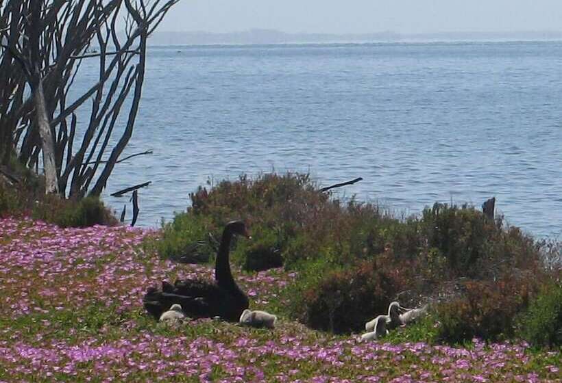 Отель Waterfront Retreat At Wattle Point