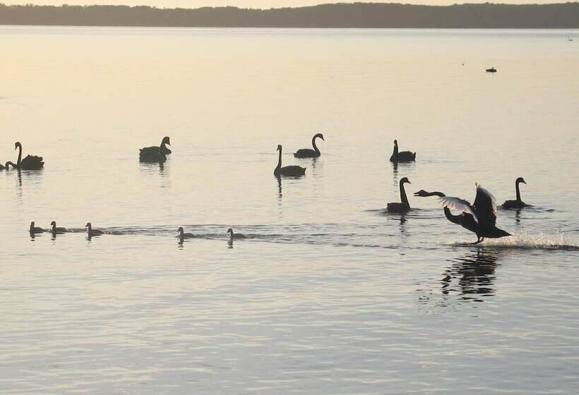 Отель Waterfront Retreat At Wattle Point