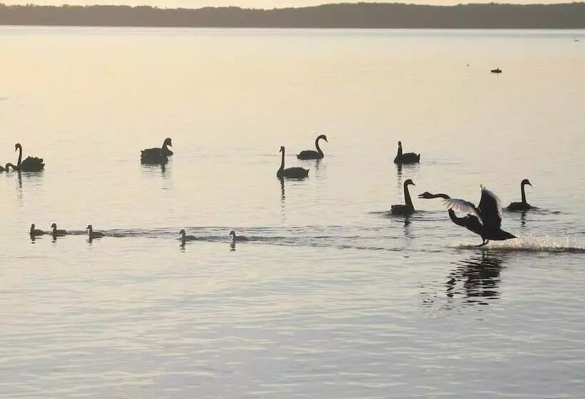 Hotelli Waterfront Retreat At Wattle Point