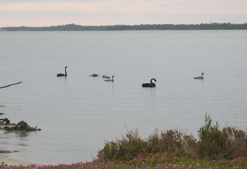 Отель Waterfront Retreat At Wattle Point