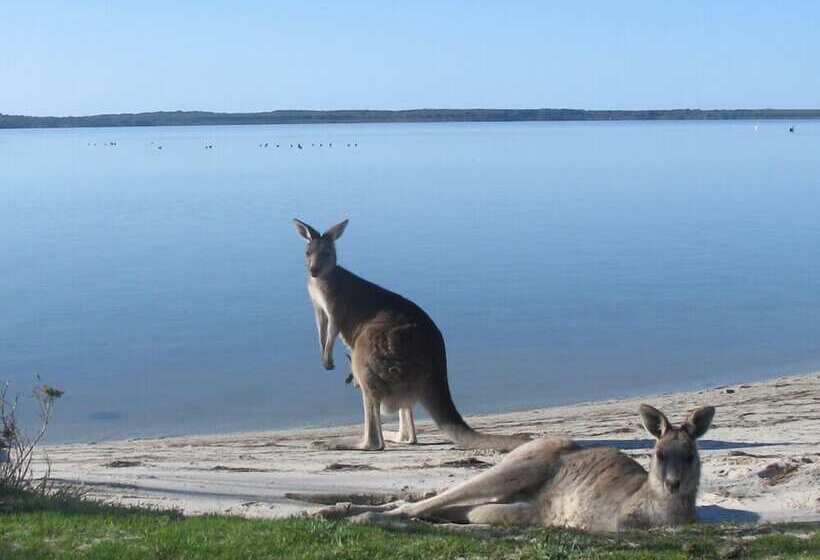 Отель Waterfront Retreat At Wattle Point